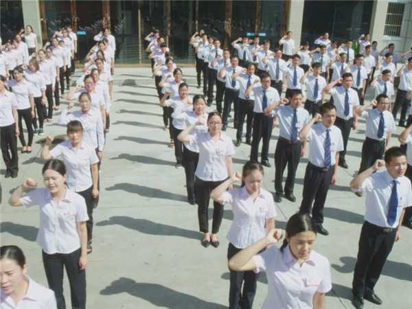 星辉集团精英人才